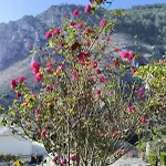 Ntona Holiday home