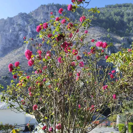 Ntona Σπίτι διακοπών