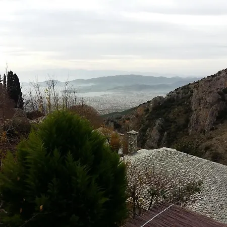 Ntona *