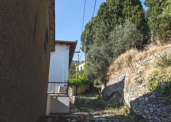 Ntona 马克里尼撒